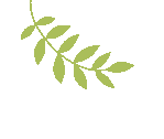 2c17ee5b1bc2b0cc7f295b1ef01b4171.gif