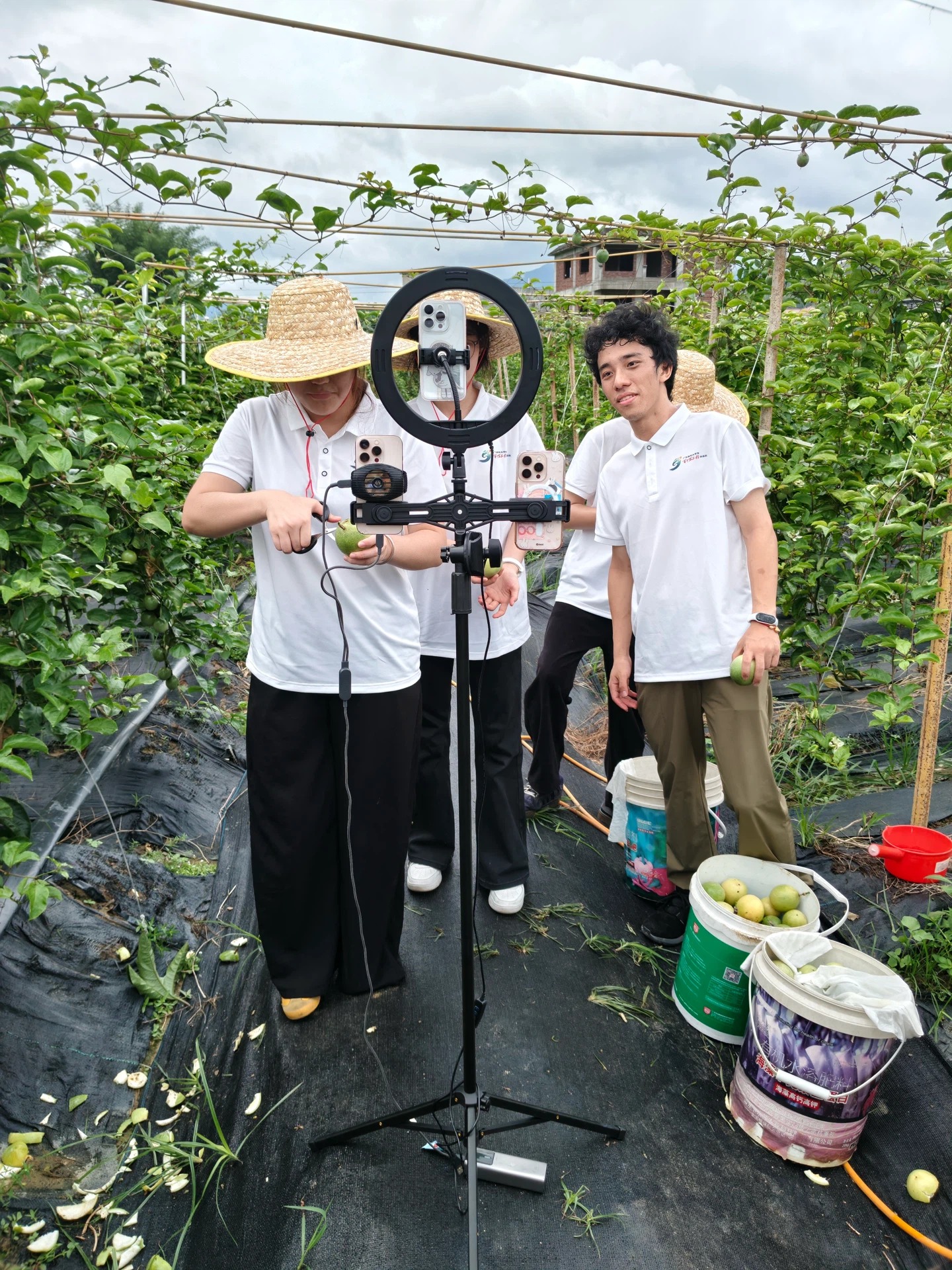 户外直播.png